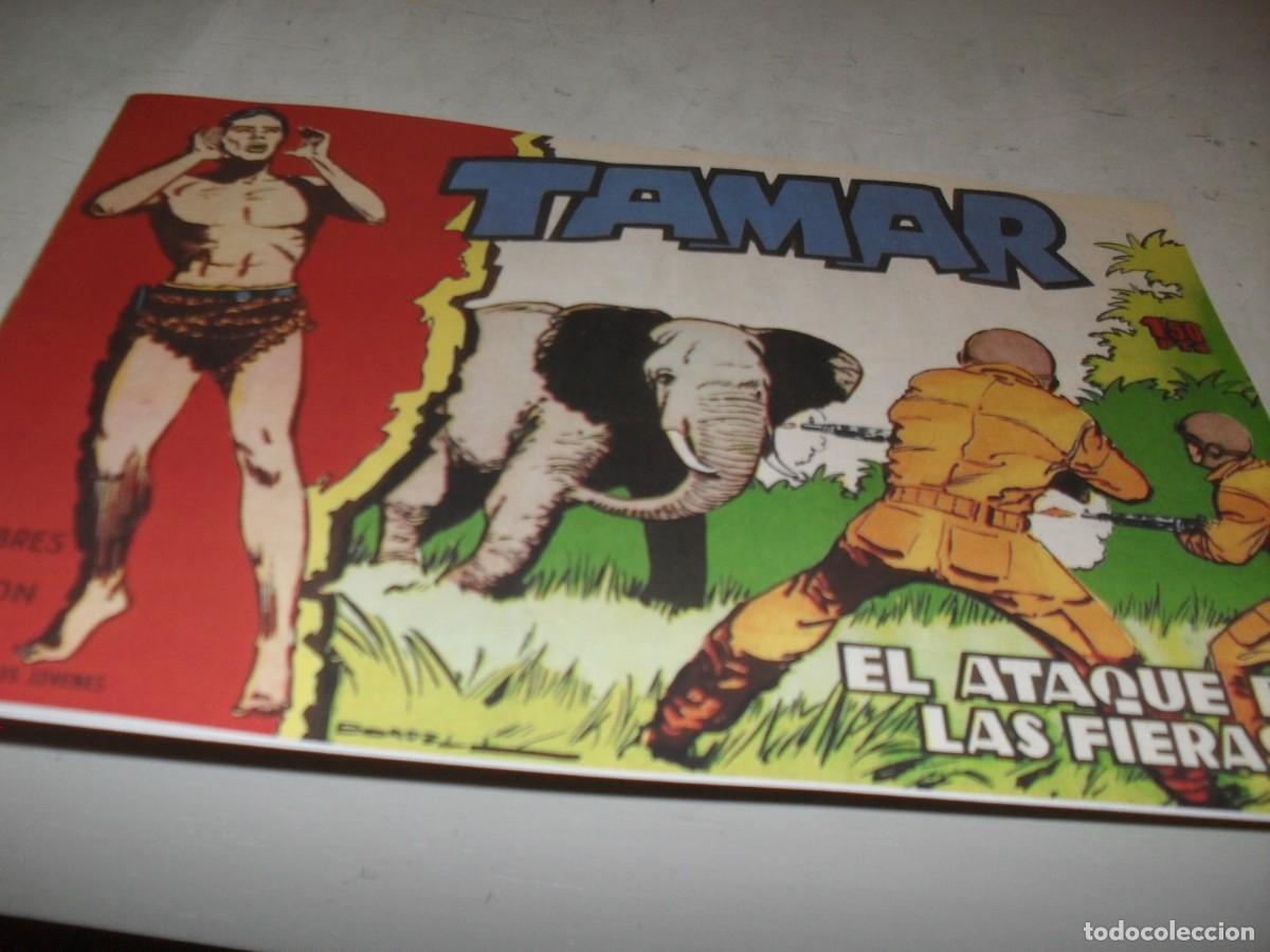 Tebeos: (FACSIMIL)TAMAR N&ordm; 54,EL ATAQUE DE LAS FIERAS,DE 186.TORAY,1961