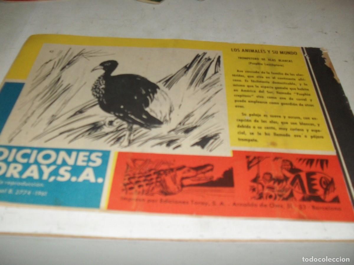 Tebeos: (ORIGINAL)TAMAR N&ordm; 42,EN PODER DE LOS BULUSSIS,DE 186.TORAY,1961 - Foto 2
