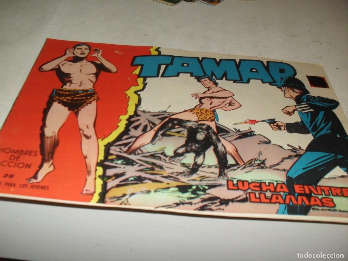 Tebeos: (ORIGINAL)TAMAR N&ordm; 36,LUCHA ENTRE LLAMAS,DE 186.TORAY,1961