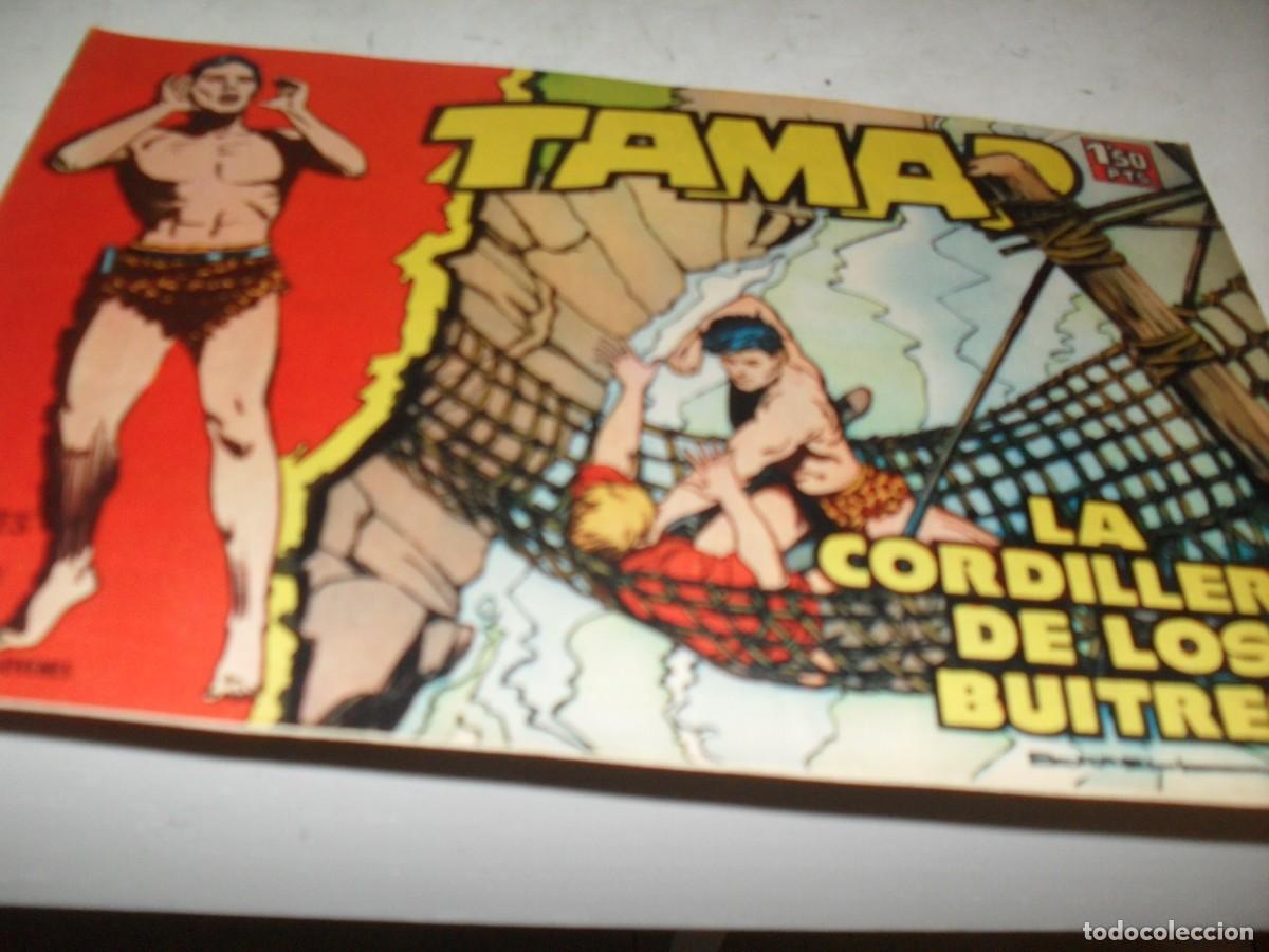 Tebeos: (ORIGINAL)TAMAR N&ordm; 12,LA CORDILLERA DE LOS BUITRES,DE 186.TORAY,1961