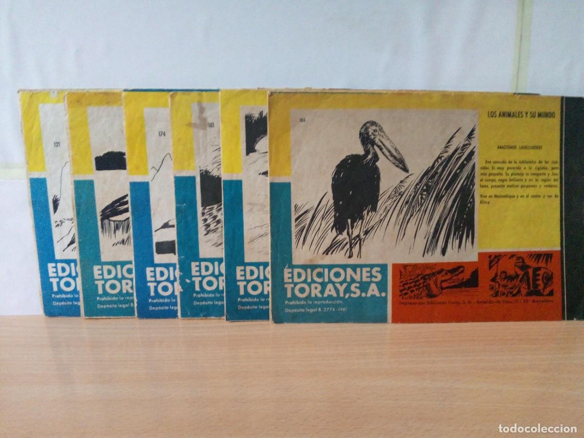 Tebeos: LOTE DE 6 TEBEOS &rdquo;TAMAR&rdquo; - Foto 2