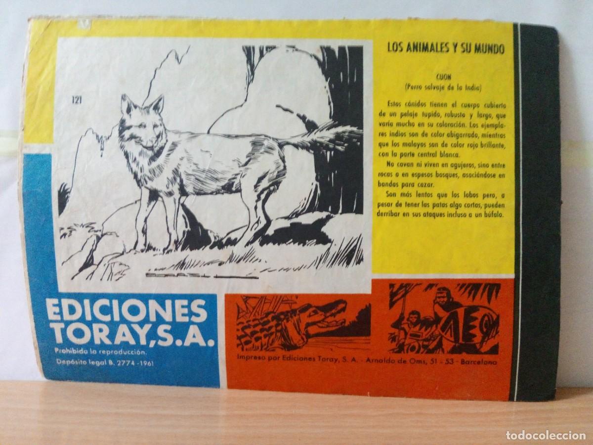 Tebeos: LOTE DE 6 TEBEOS &rdquo;TAMAR&rdquo; - Foto 5