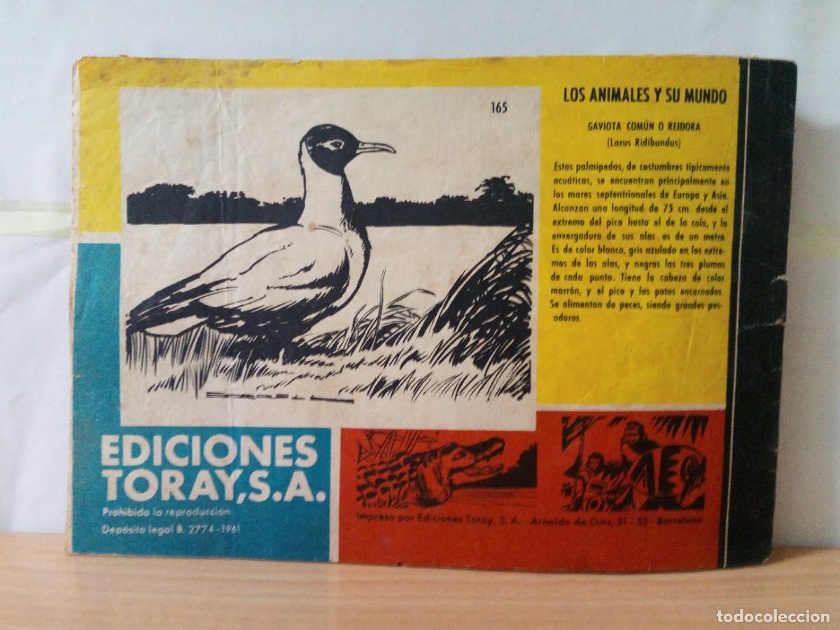 Tebeos: LOTE DE 6 TEBEOS &rdquo;TAMAR&rdquo; - Foto 8