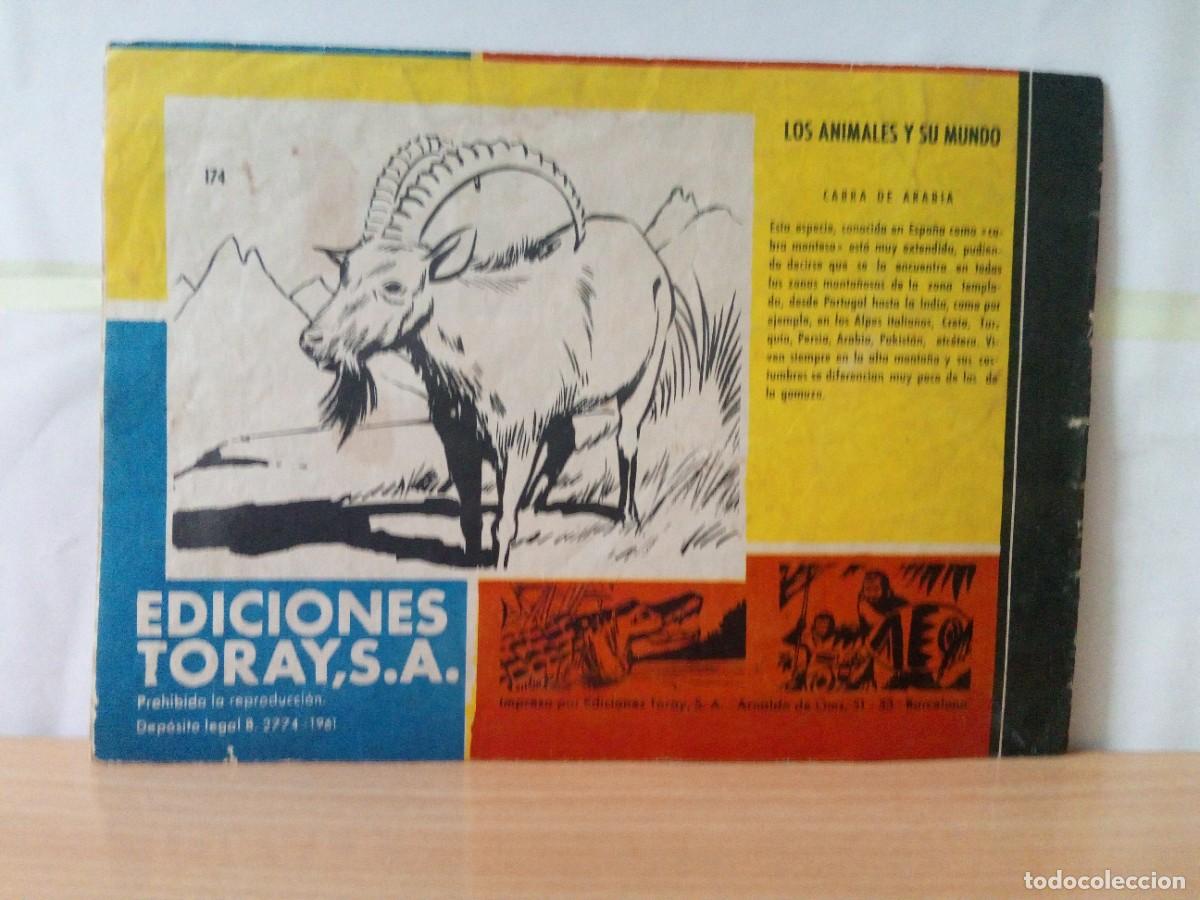 Tebeos: LOTE DE 6 TEBEOS &rdquo;TAMAR&rdquo; - Foto 10