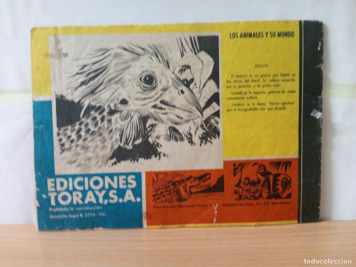 Tebeos: LOTE DE 6 TEBEOS &rdquo;TAMAR&rdquo; - Foto 12