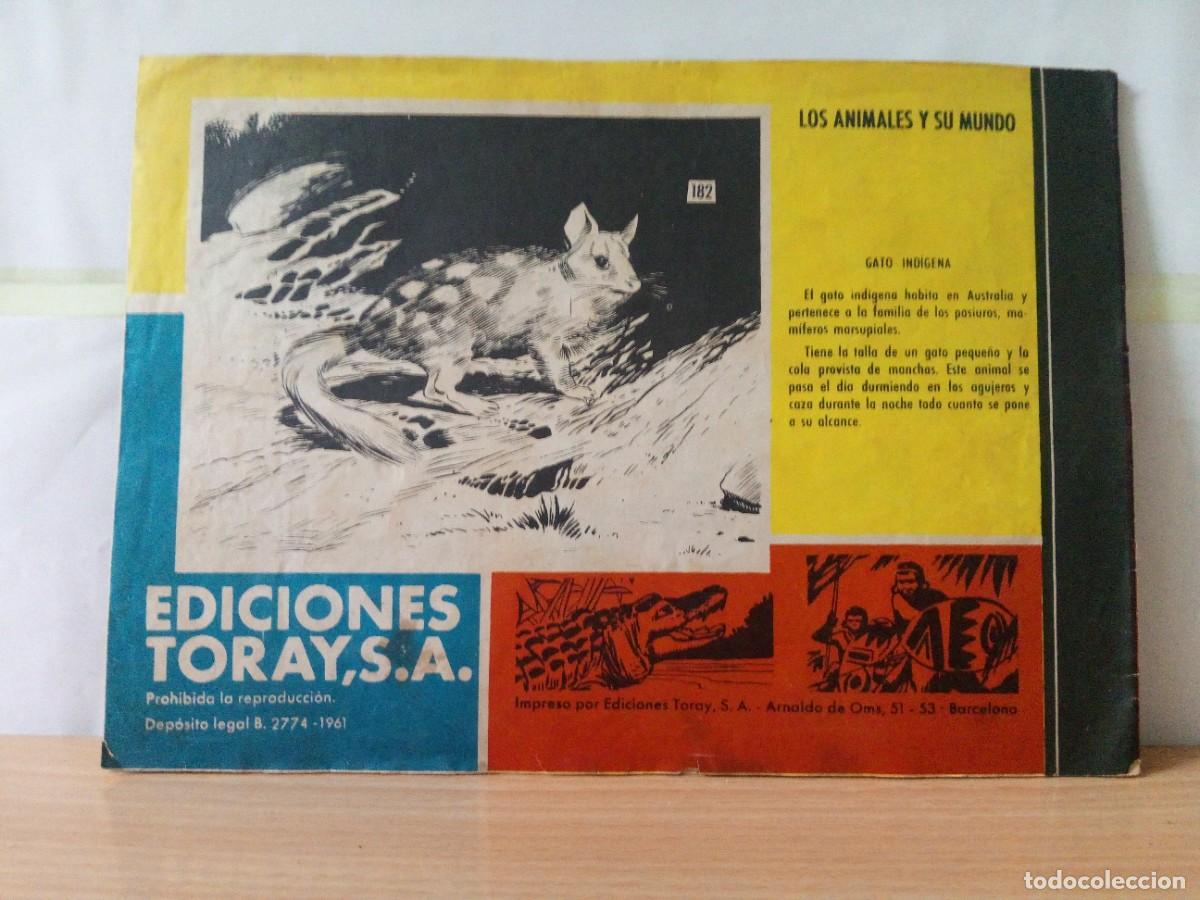 Tebeos: LOTE DE 6 TEBEOS &rdquo;TAMAR&rdquo; - Foto 14