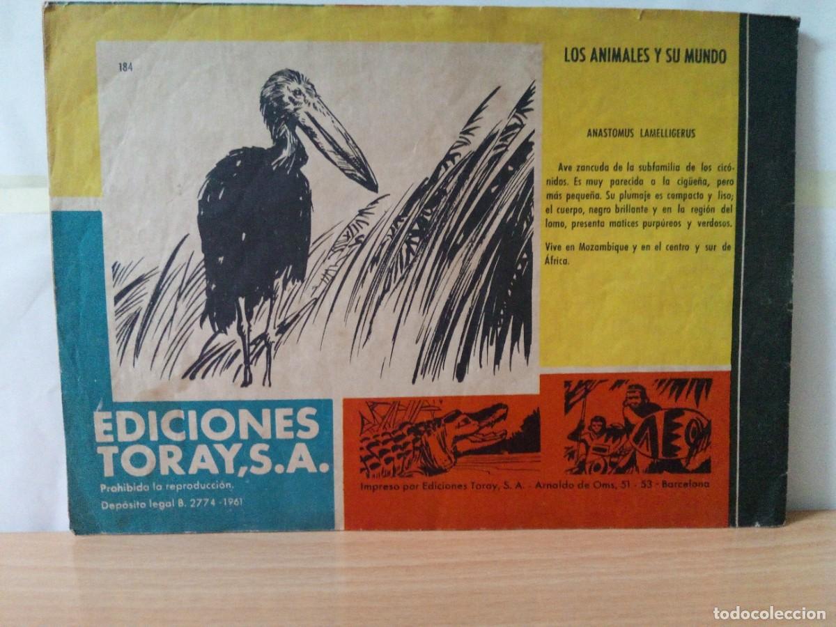 Tebeos: LOTE DE 6 TEBEOS &rdquo;TAMAR&rdquo; - Foto 17