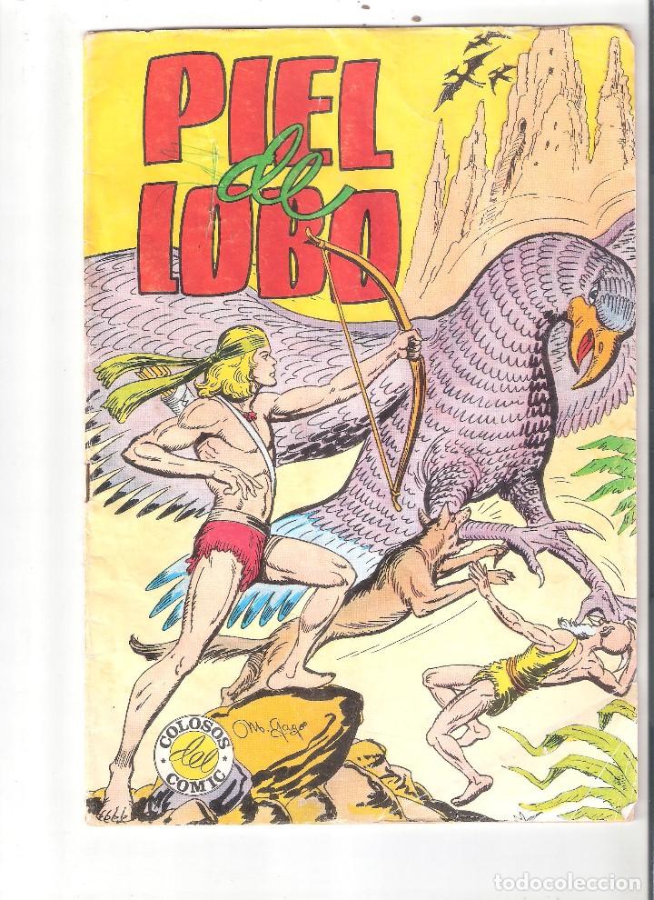 Tebeos: PIEL DE LOBO N&ordm; 1-EDIVAL - Foto 1
