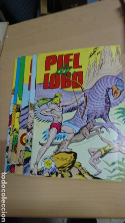 Tebeos: PIEL DE LOBO Colosos del c&oacute;mic 6 numeros - Foto 1