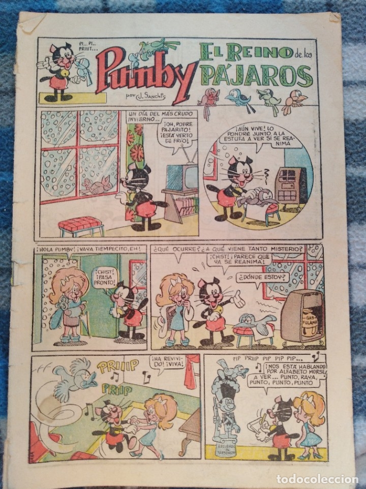 Tebeos: Comic - pumby (00) - Foto 1