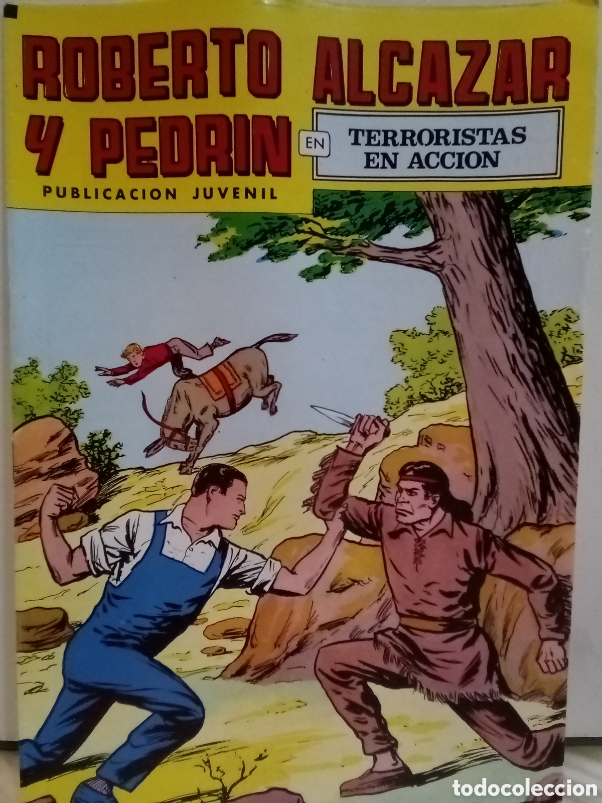Tebeos: Roberto Alc&aacute;zar y Pedrin, En terroristas en accion