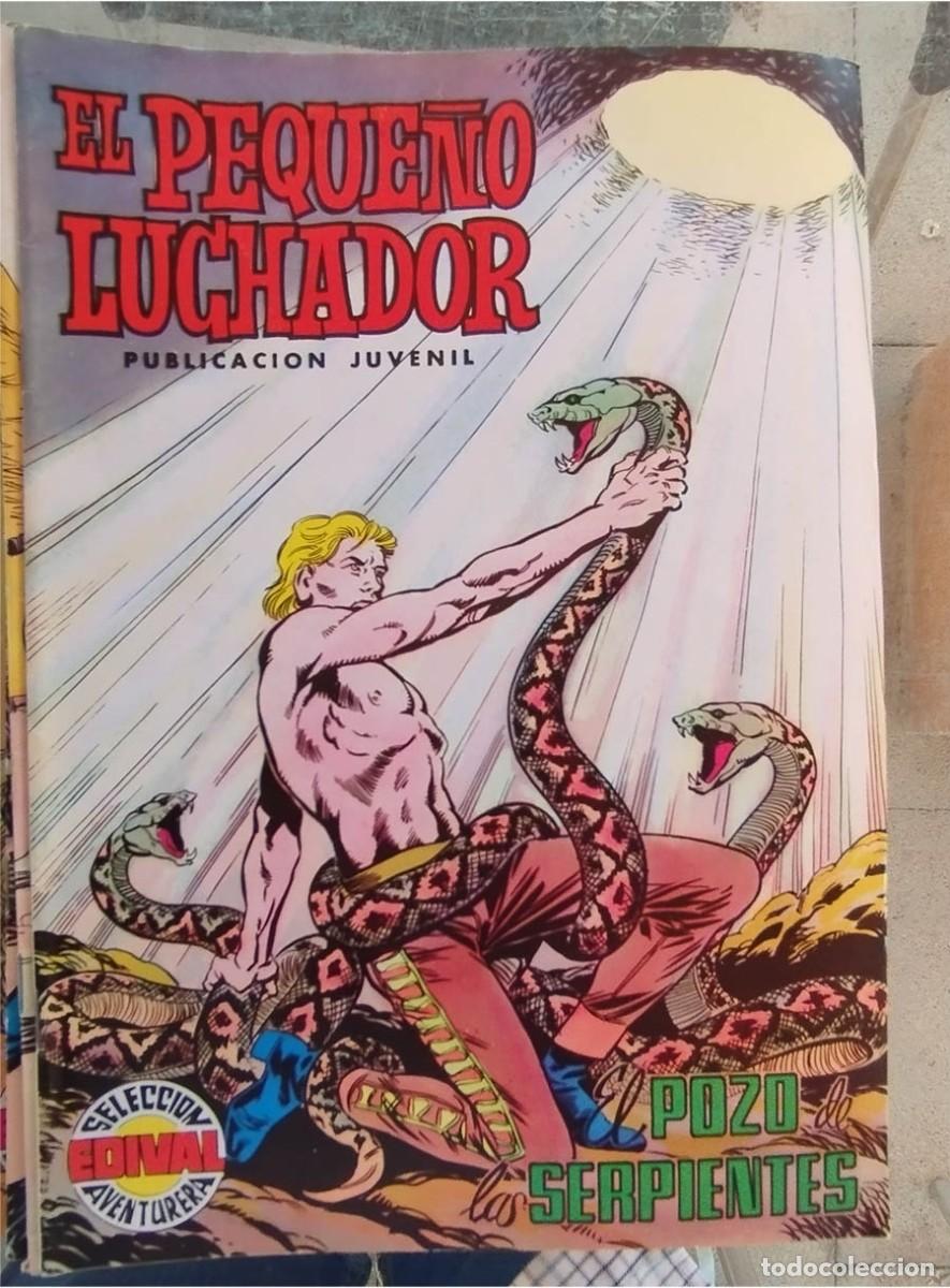 Tebeos: EL PEQUE&Ntilde;O LUCHADOR N.&ordm; 8 POZO DE LAS SERPIENTES EDIVAL SELECCI&Oacute;N AVENTURERA