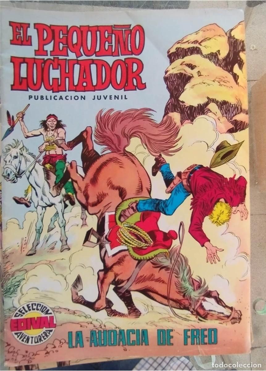 Tebeos: EL PEQUE&Ntilde;O LUCHADOR N.&ordm; 24 LA AUDACIA DE FRED EDIVAL SELECCI&Oacute;N AVENTURERA