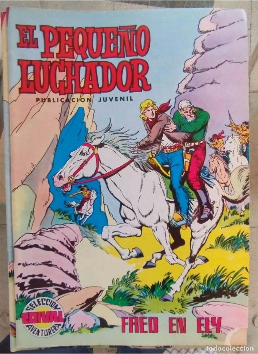 Tebeos: EL PEQUE&Ntilde;O LUCHADOR N.&ordm; 33 FRED EN ELY EDIVAL SELECCI&Oacute;N AVENTURERA