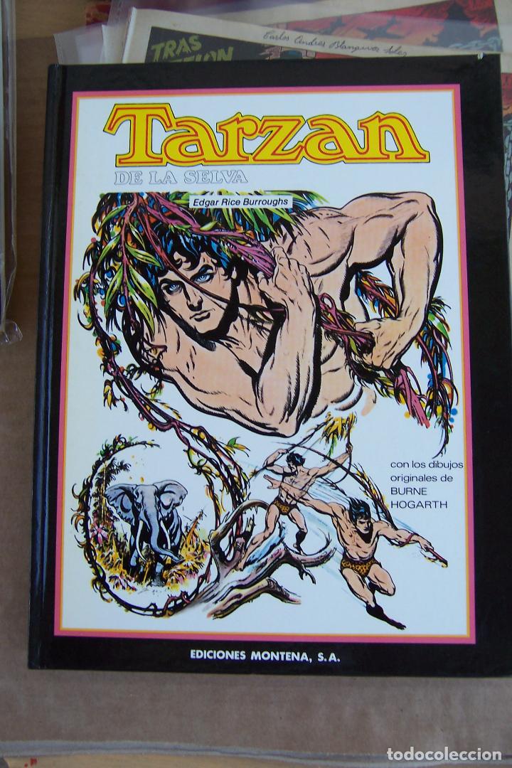 Tebeos: MONTENA,- TARZAN DE LA SELVA - Foto 1