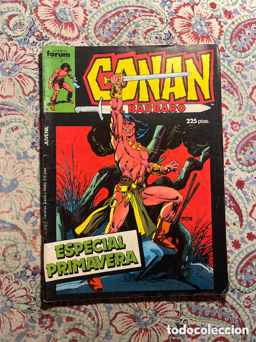Tebeos: CONAN EL B&Aacute;RBARO, ESPECIAL PRIMAVERA, (F&Oacute;RUM) - Foto 1