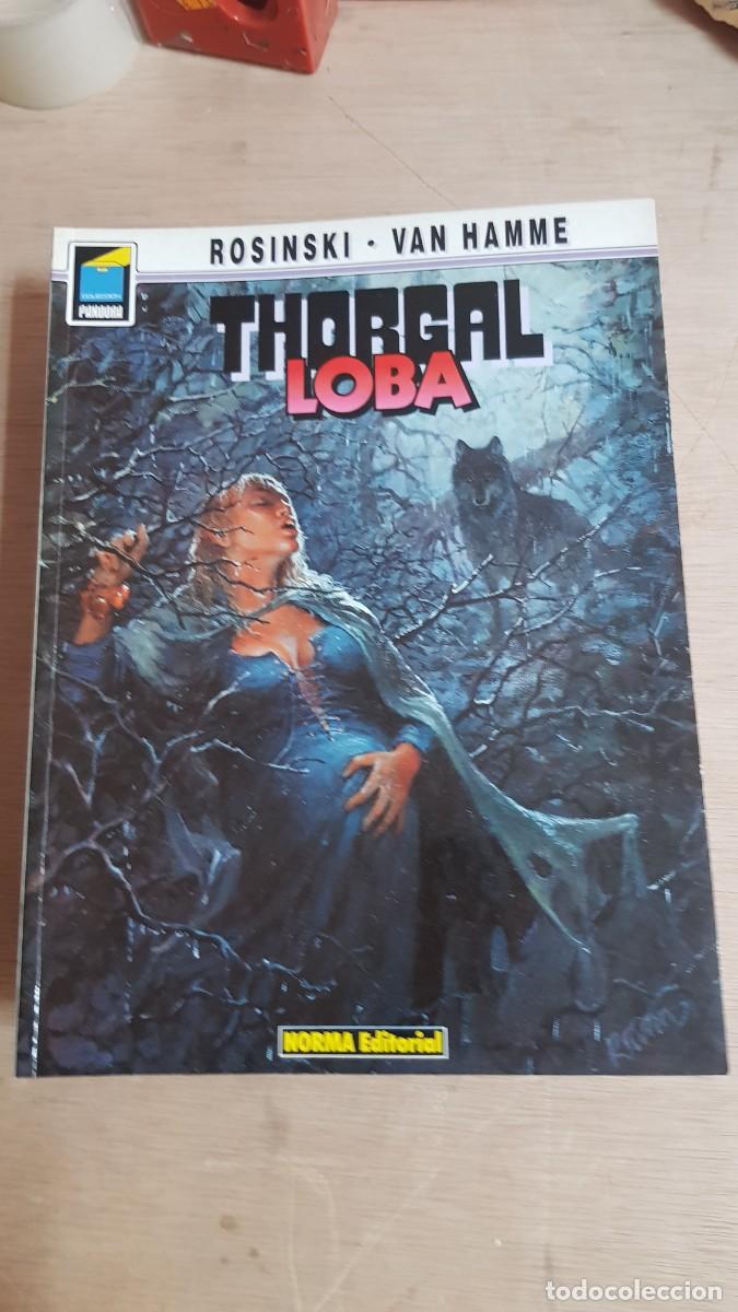 Tebeos: THORGAL : LOBA...TAPA BLANDA de NORMA - Foto 1