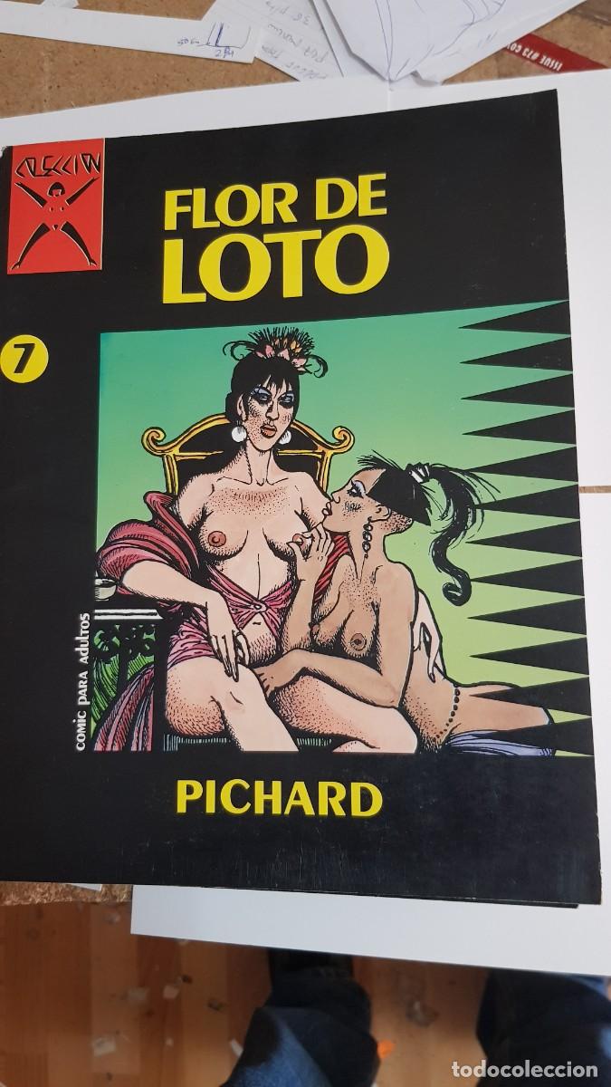 Tebeos: FLOR DE LOTO: COLECCI&Oacute;N X, n&uacute;mero 7 ... La C&Uacute;PULA - Foto 1