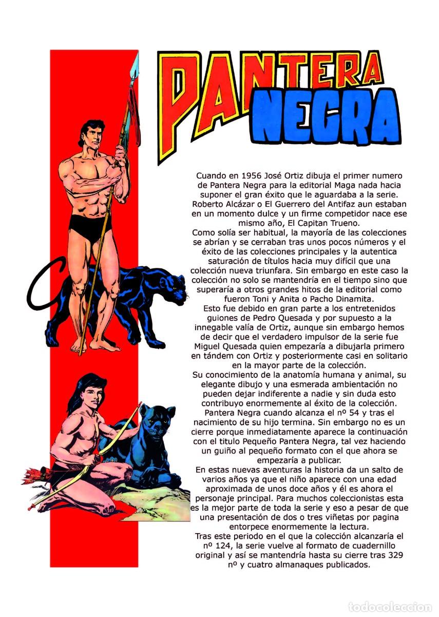 Tebeos: PANTERA NEGRA. TESOROS OLVIDADOS EXTRA (TCE) - Foto 3