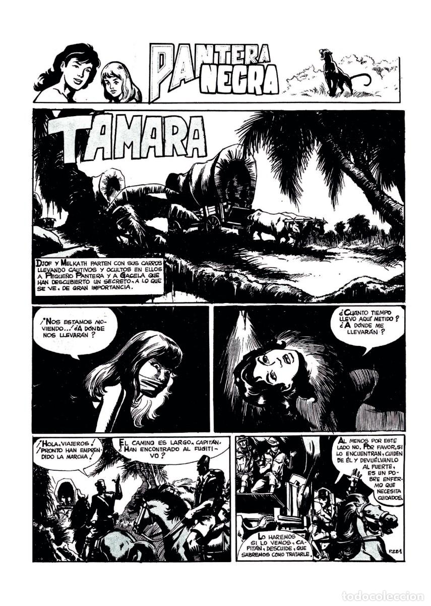 Tebeos: PANTERA NEGRA. TESOROS OLVIDADOS EXTRA (TCE) - Foto 9