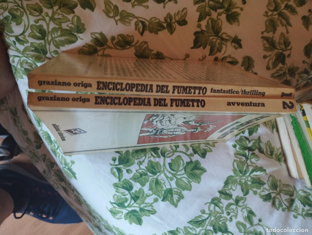 Tebeos: DOS TOMOS ENCICLOPEDIA DEL COMIC - Foto 2