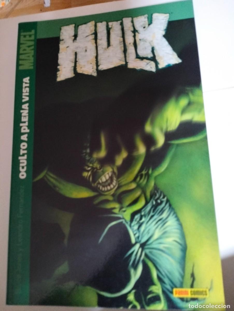 Tebeos: HULK n.1 ...TOMO TAPA BLANDA de PANINI - Foto 1