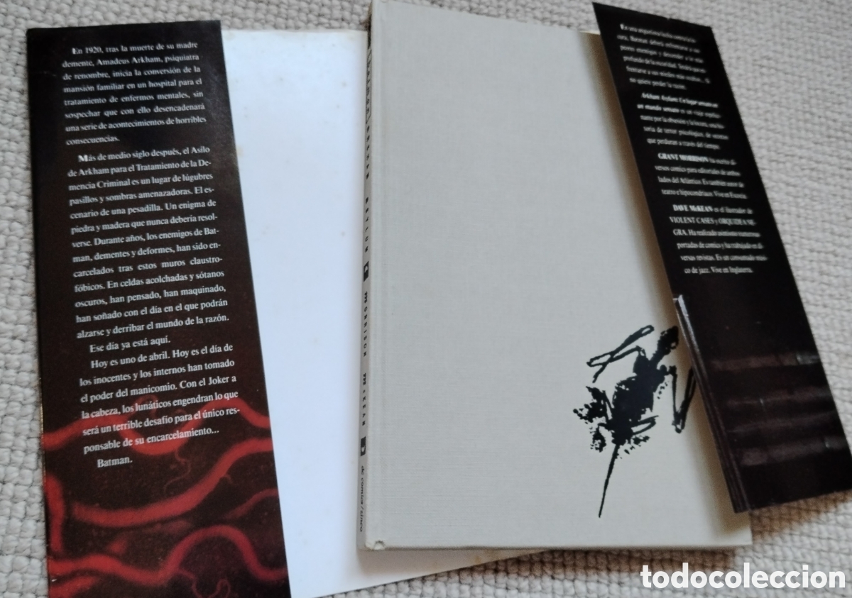 Tebeos: Arkham Asylum - Morrison/McKay - Foto 2