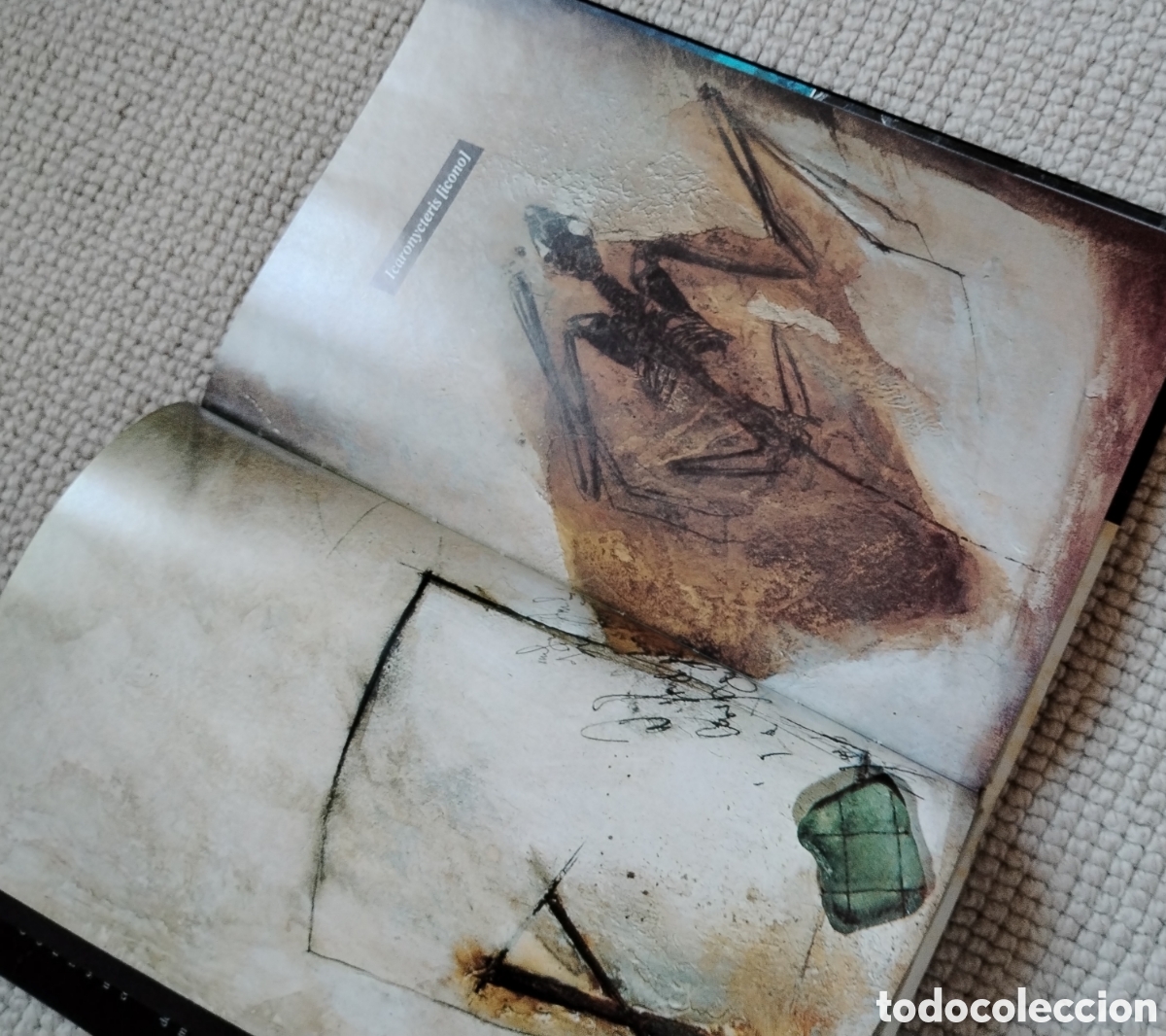 Tebeos: Arkham Asylum - Morrison/McKay - Foto 5