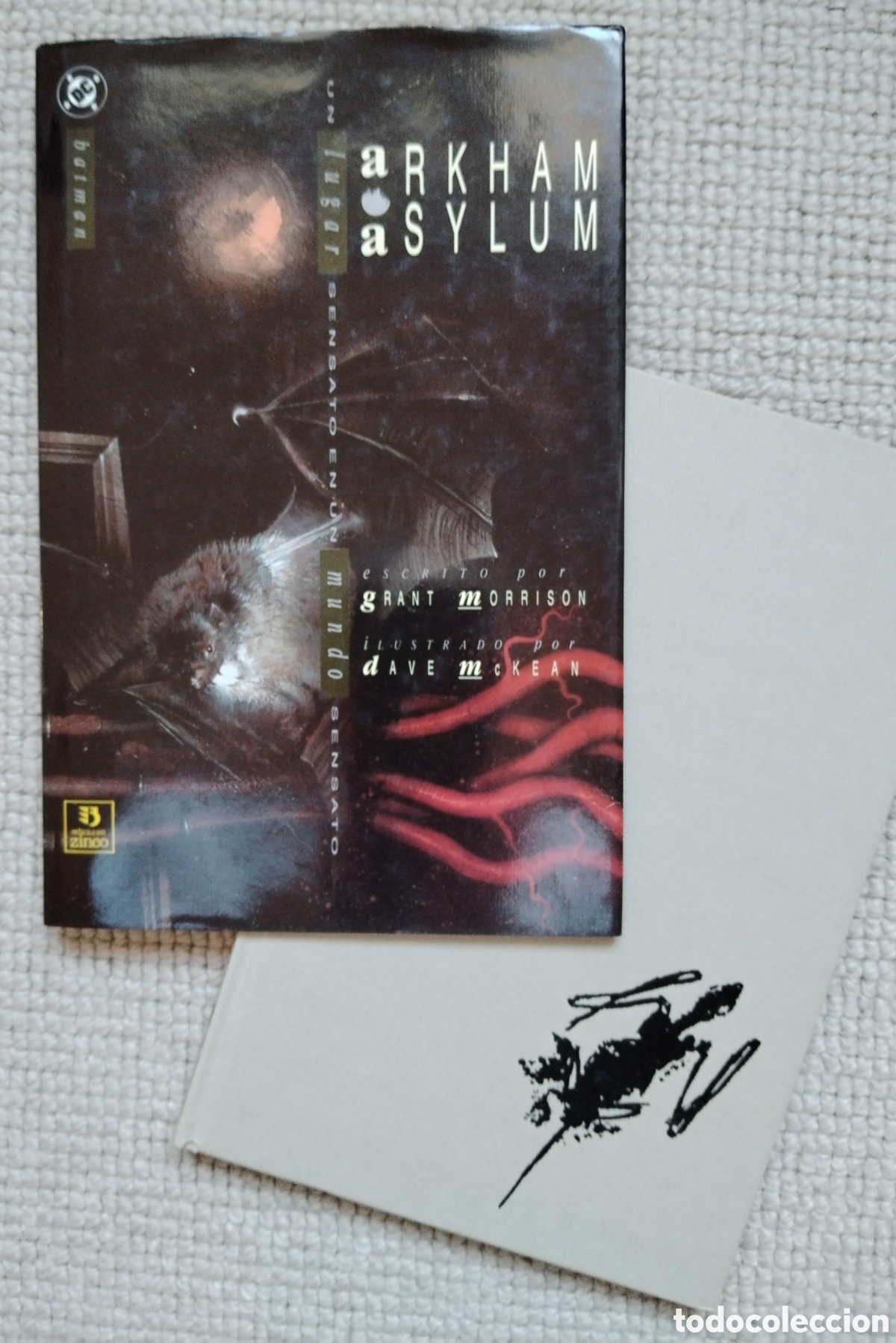 Tebeos: Arkham Asylum - Morrison/McKay - Foto 1