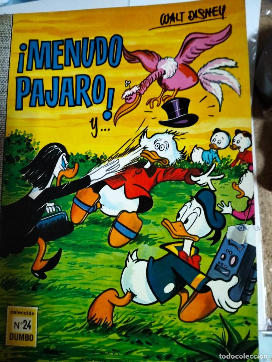 Tebeos: DUMBO n. 24 ... Menudo p&aacute;jaro - Foto 1