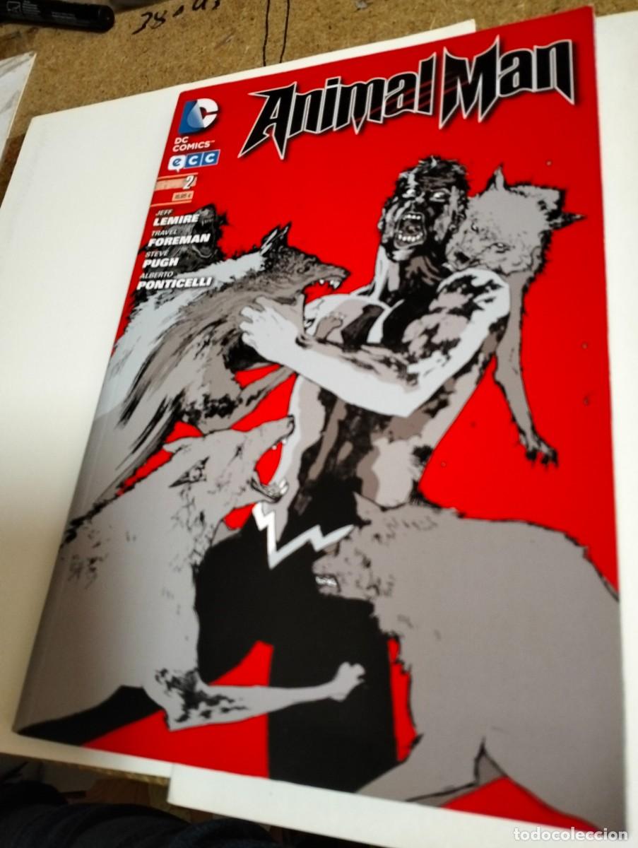 Tebeos: ANIMAL MAN n. 2 ... TOMO EN TAPA BLANDA de ECC - Foto 1