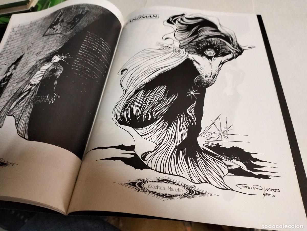 Tebeos: STUDIO SANDMAN...STUDIO # 12 de CAMALE&Oacute;N EDICI&Oacute;NES - Foto 9