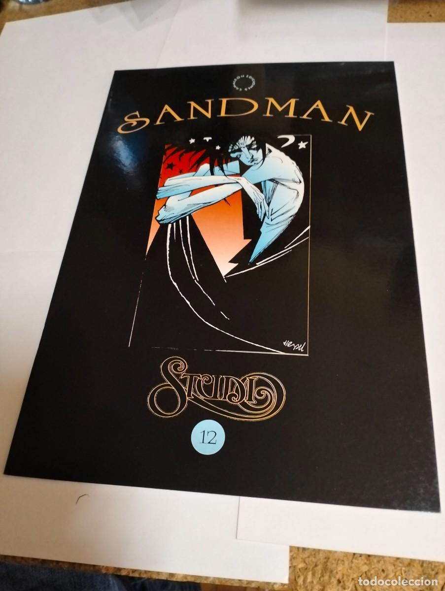 Tebeos: STUDIO SANDMAN...STUDIO # 12 de CAMALE&Oacute;N EDICI&Oacute;NES - Foto 1