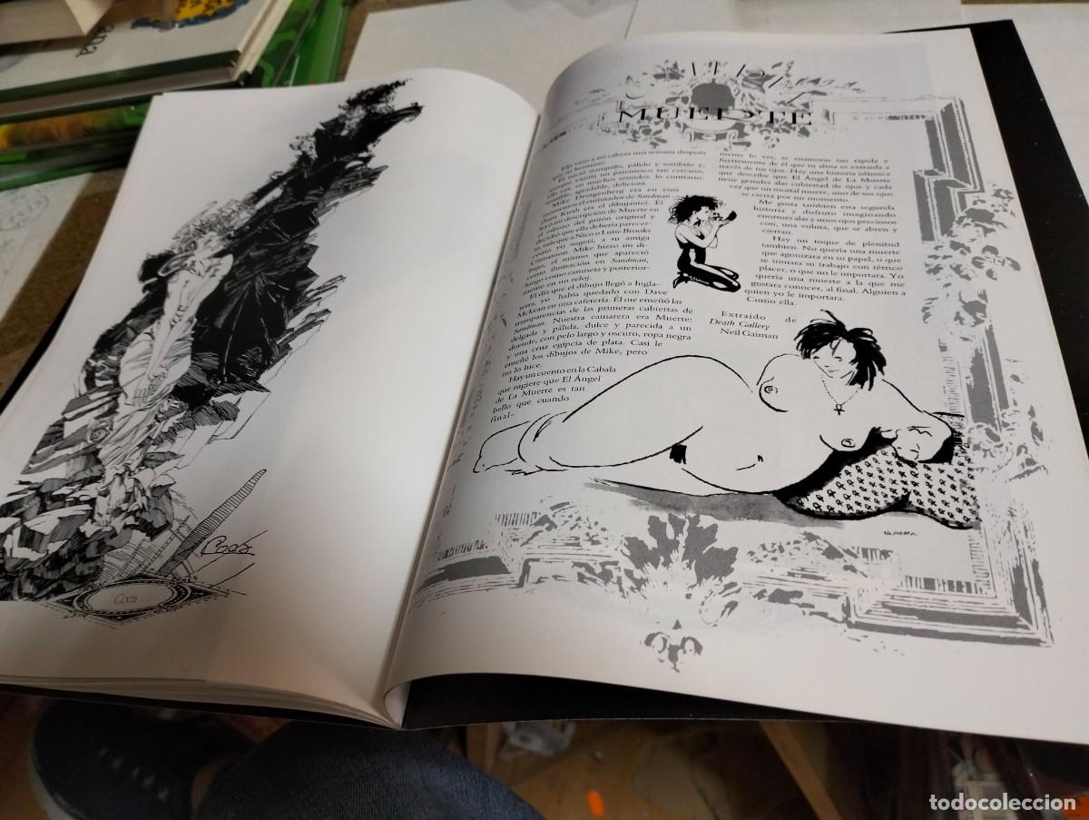 Tebeos: STUDIO SANDMAN...STUDIO # 12 de CAMALE&Oacute;N EDICI&Oacute;NES - Foto 11