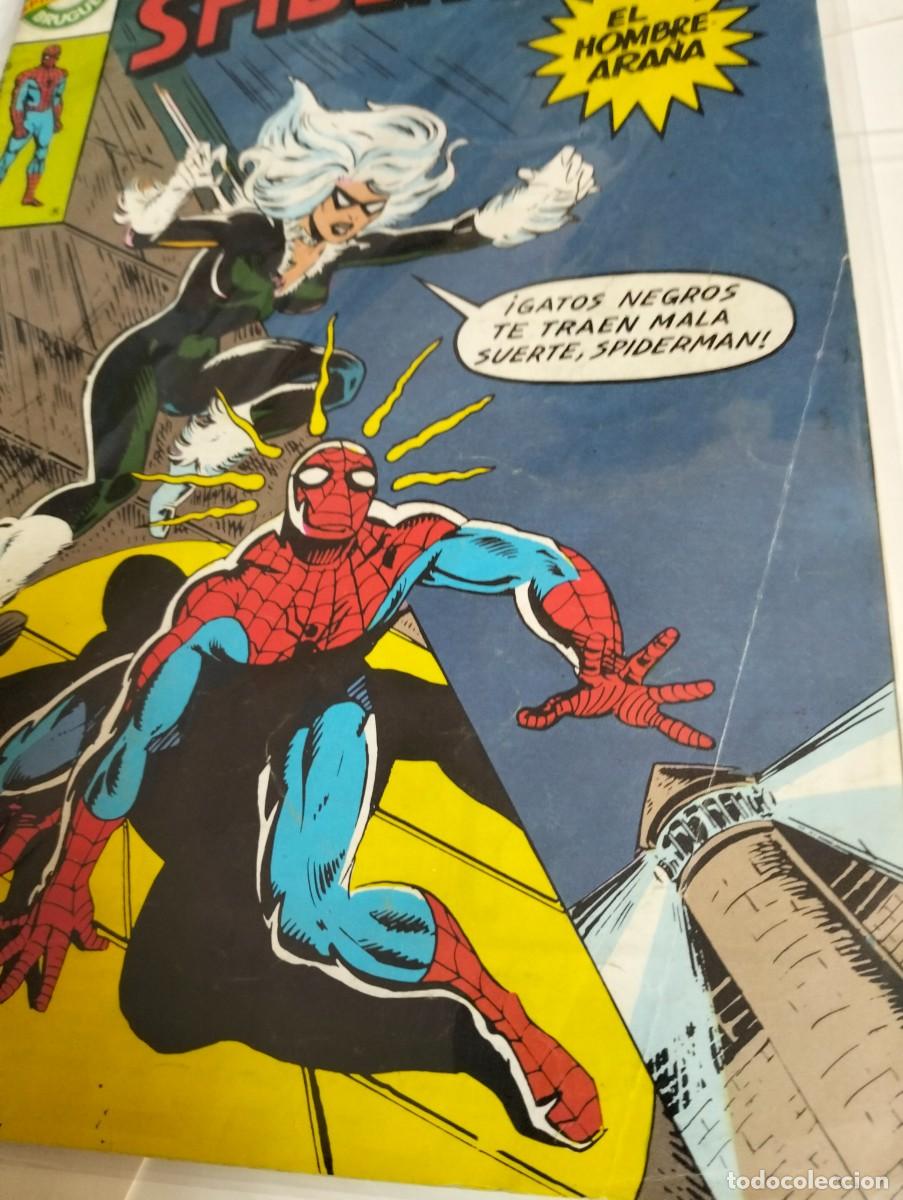 Tebeos: SPIDER-MAN #. 31 ( Gata negra )... Ediciones BRUGUERA - Foto 2