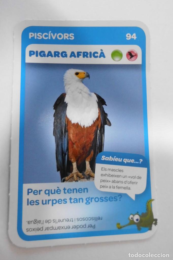 condis super animals 2 # 94 pigarg africa - Buy Antique trading cards on  todocoleccion