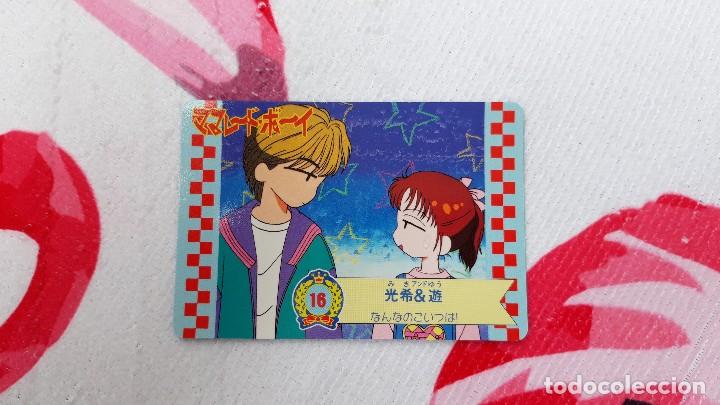 Marmalade Boy Pp Card Amada Carddass Trading Ca Comprar Trading