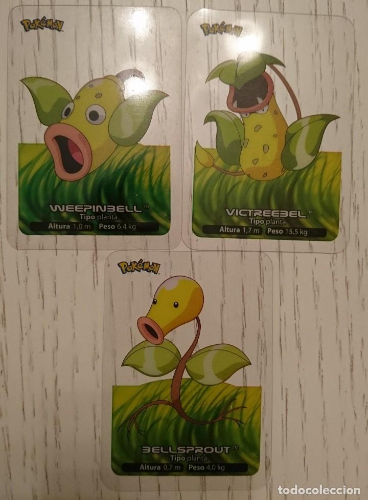 7 cartas de Pokémon do tipo planta