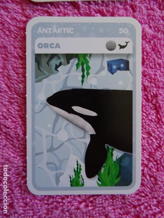 super animals 50 orca super animals 3 supermerc - Buy Antique trading cards  on todocoleccion
