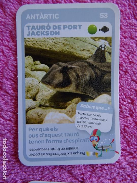super animals 53 tauró de port jackson super an - Buy Antique trading cards  on todocoleccion