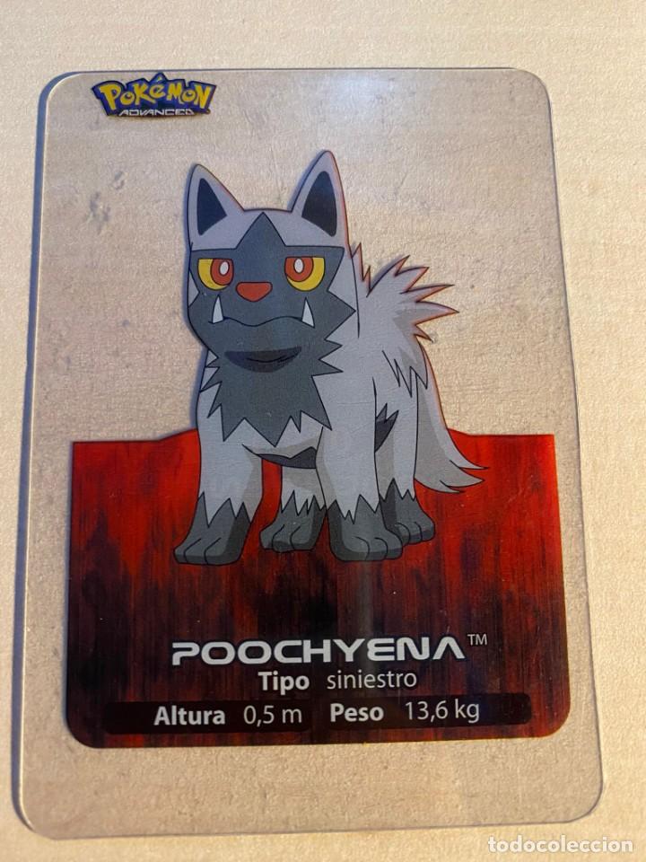Cartas Colecion&aacute;veis: CROMO LAMINCARD POK&Eacute;MON N&ordm; 19 LAMINCARDS EDIBAS: POOCHYENA
