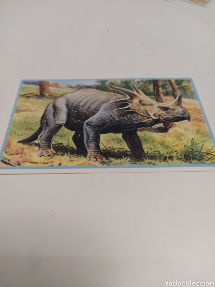 Trading cards: Cromo dinosaurios Come saurios Styracosaurus - Foto 1