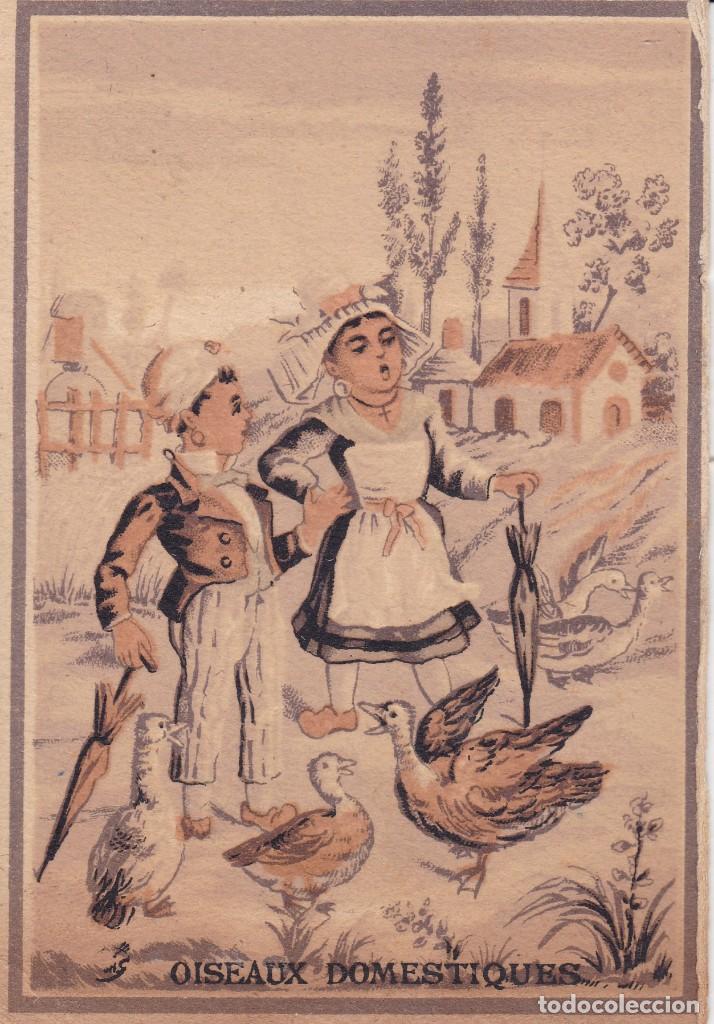 Trading cards: couronnes fun&eacute;raires Chapellerie finales siglo XIX Francia 8x11ctms