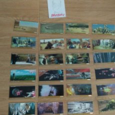 Trading Cards: LOTE 24 TRADING CARDS, STAR WARS TRILOGY SPECIAL EDITION. Lote 316893773