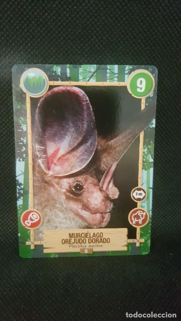 Trading cards: PANINI REWILD - N&ordm; 6 - Foto 1