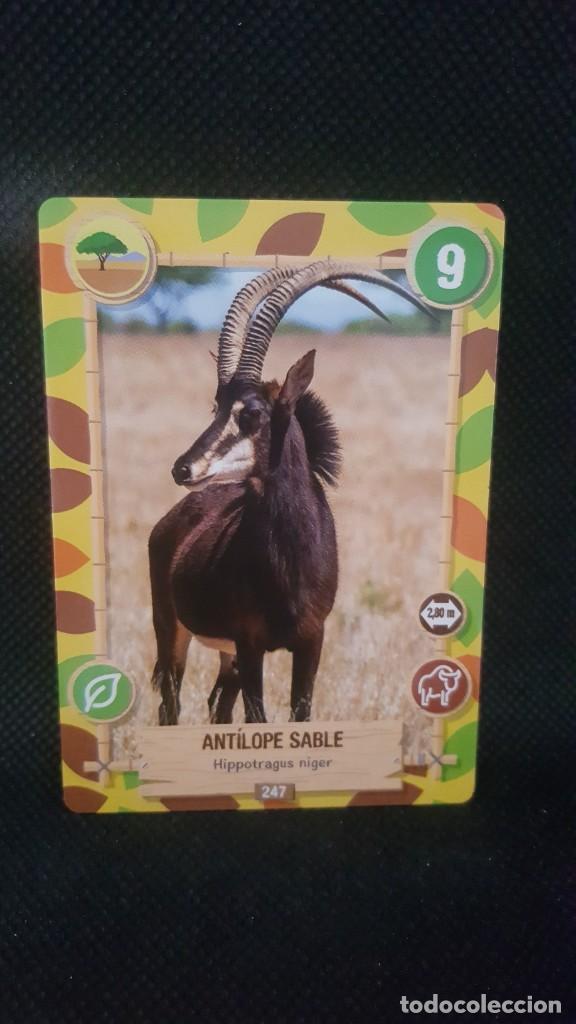 Trading cards: PANINI REWILD - N&ordm; 247 - Foto 1