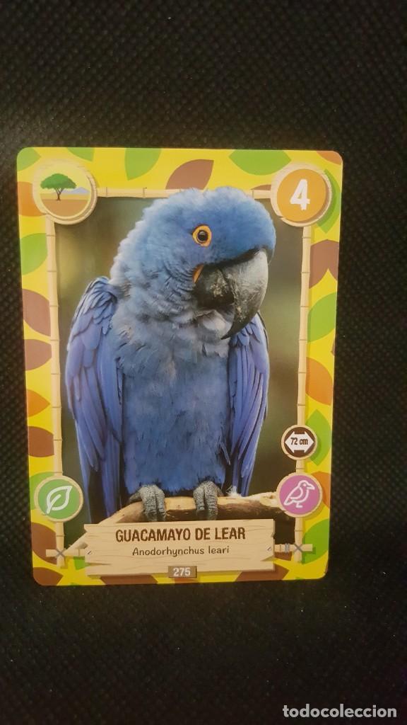 Trading cards: PANINI REWILD - N&ordm; 275 - Foto 1