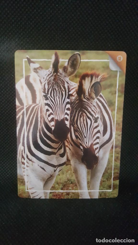 Trading cards: PANINI REWILD - N&ordm; 355 - Foto 1