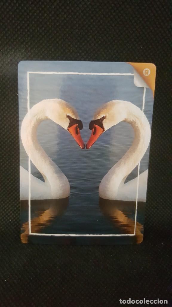Trading cards: PANINI REWILD - N&ordm; 351 - Foto 1