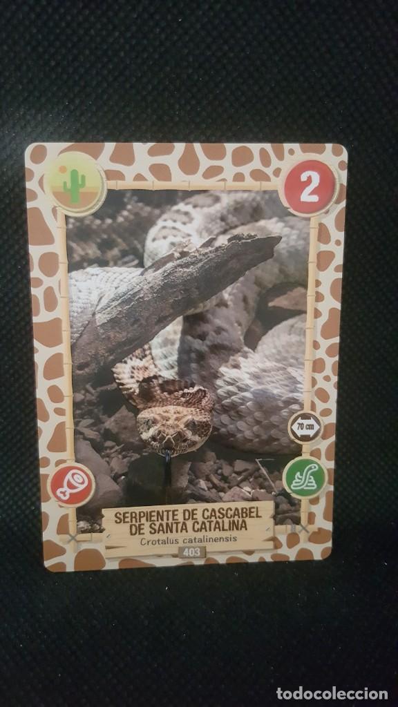 Trading cards: PANINI REWILD - N&ordm; 403 - Foto 1